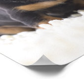 Twee Mini Dachshund-vergaderingen Poster (Hoek)