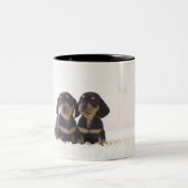 Twee Mini Dachshund-vergaderingen Tweekleurige Koffiemok (Center)