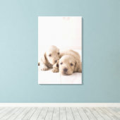 Twee Miniature Dachshund Canvas Afdruk (Insitu (Houten vloer))