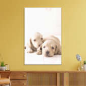 Twee Miniature Dachshund Canvas Afdruk (Insitu (Woonkamer))