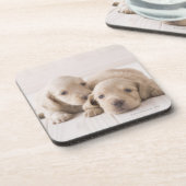 Twee Miniature Dachshund Drankjes Onderzetter (Linkerzijde)