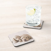 Twee Miniature Dachshund Drankjes Onderzetter (Rechterzijde)