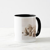Twee Miniature Dachshund Mok (Voorkant rechts)