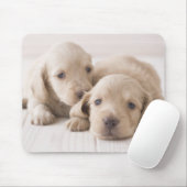 Twee Miniature Dachshund Muismat (Met muis)