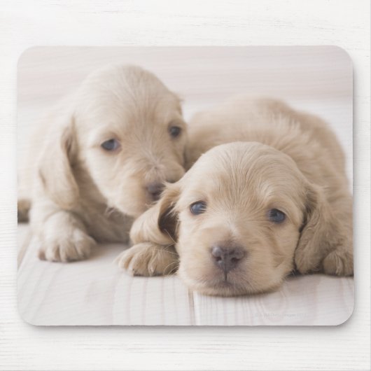 Twee Miniature Dachshund Muismat (Voorkant)