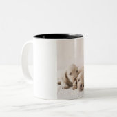 Twee Miniature Dachshund Tweekleurige Koffiemok (Voorkant links)