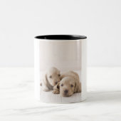 Twee Miniature Dachshund Tweekleurige Koffiemok (Center)