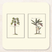 Twee miniaturen met palmbomen kartonnen onderzetters (Voorkant)