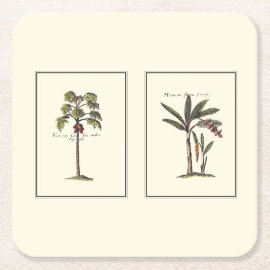 Twee miniaturen met palmbomen kartonnen onderzetters (Voorkant)