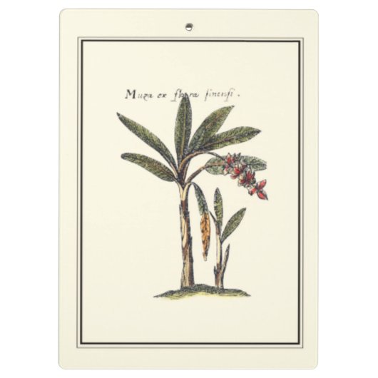 Twee miniaturen met palmbomen klembord (Achterkant)