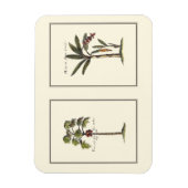 Twee miniaturen met palmbomen magneet (Verticaal)
