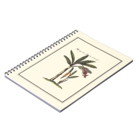 Twee miniaturen met palmbomen notitieboek (Linkerzijde)