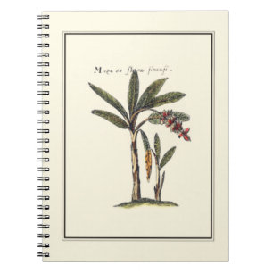 Twee miniaturen met palmbomen notitieboek