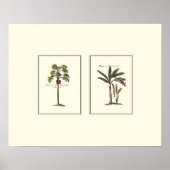Twee miniaturen met palmbomen poster (Voorkant)