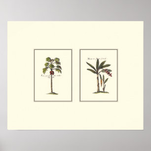 Twee miniaturen met palmbomen poster