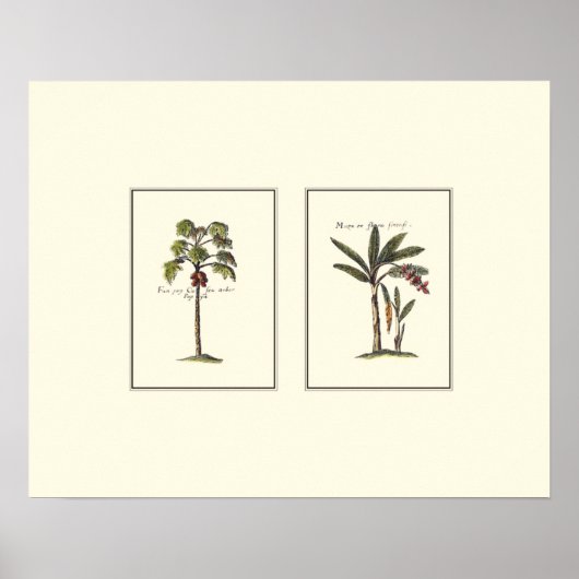 Twee miniaturen met palmbomen poster (Voorkant)