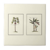 Twee miniaturen met palmbomen tegeltje (Voorkant)