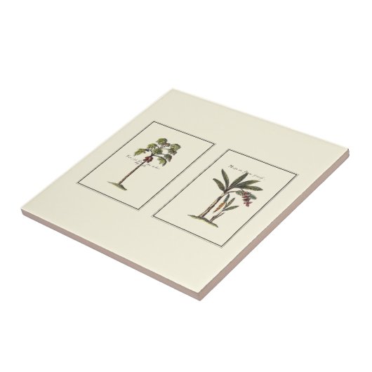 Twee miniaturen met palmbomen tegeltje (Zijkant)