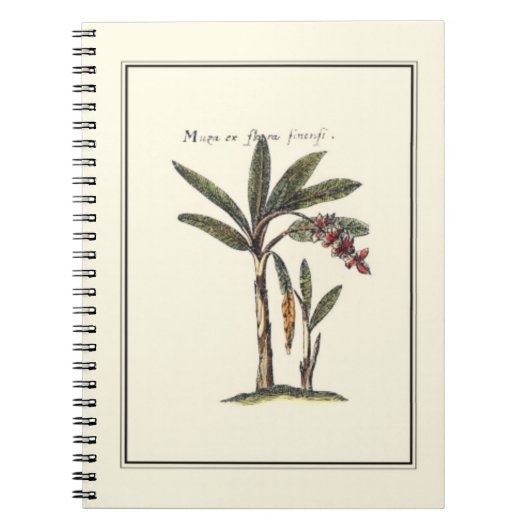 Twee Miniatuur Omlijste Palmboom Bomen Notitieboek (Voorkant)
