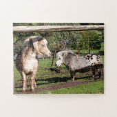 Twee miniatuurpony's in een paddock legpuzzel (Horizontaal)