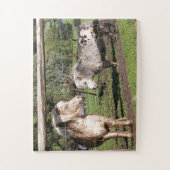 Twee miniatuurpony's in een paddock legpuzzel (Verticaal)