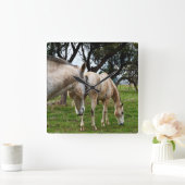 Twee modderige witte paarden grazen, vierkante klok (Huis)