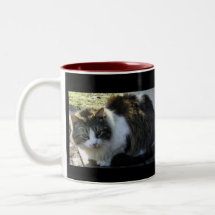 Twee Mokken met toned Kat