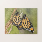 Twee Monarch Butterfly's Puzzle Legpuzzel (Horizontaal)