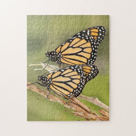 Twee Monarch Butterfly's Puzzle Legpuzzel (Verticaal)
