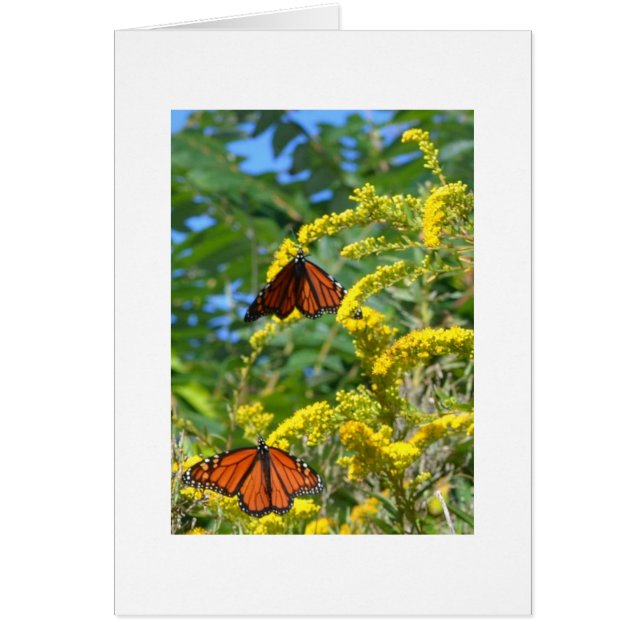 Twee monarchen (Voorkant)