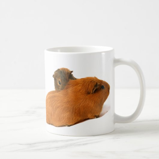 twee mooie cavia ' s koffiemok (Rechts)
