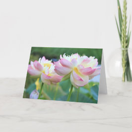 Twee mooie lotusbloemen kaart