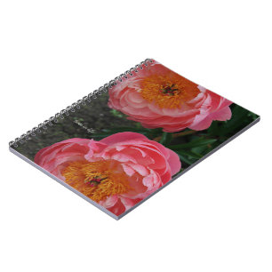 Twee mooie roze pioenen notitieboek