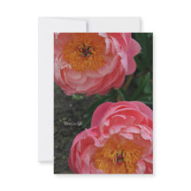 Twee mooie roze pioenen