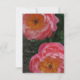 Twee mooie roze pioenen notitiekaartje
