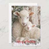 Twee Mooie Schapen Feestdagenkaart (Voorkant / Achterkant)