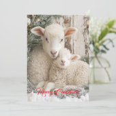 Twee Mooie Schapen Feestdagenkaart (Staand voorkant)