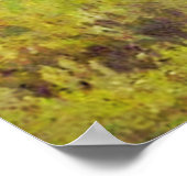 Twee mooie vogels poster (Hoek)