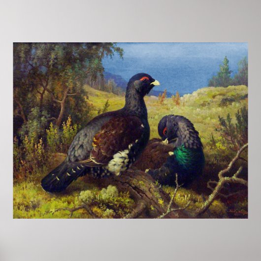Twee Mooie Vogels Poster (Voorkant)