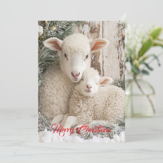 Twee Moppige Schapen Feestdagenkaart (Staand voorkant)