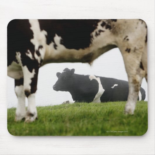 twee muismat (Voorkant)