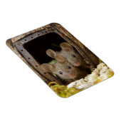 Twee muizen bij de deurmagneet magneet (Rechterzijde)