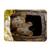 Twee muizen bij de deurmagneet magneet (Horizontaal)
