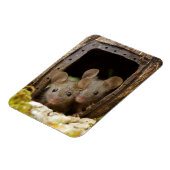 Twee muizen bij de deurmagneet magneet (Linkerzijde)