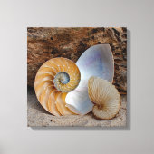 Twee Nautilus-schelpen Canvas Afdruk (Voorkant)