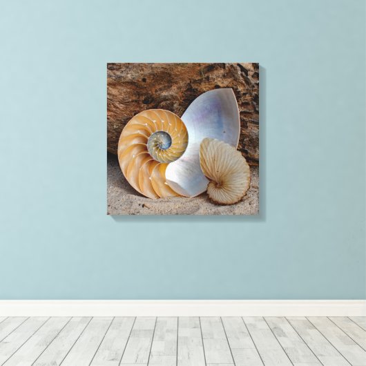 Twee Nautilus-schelpen Canvas Afdruk (Insitu (Houten vloer))