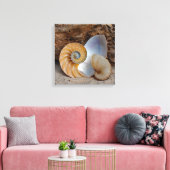 Twee Nautilus-schelpen Canvas Afdruk (Insitu (Woonkamer))