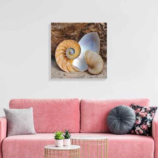Twee Nautilus-schelpen Canvas Afdruk (Insitu (Woonkamer))