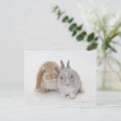 Twee Nederlandse Dwarf- en Holland Lop-bunnies Briefkaart (Staand voorkant)