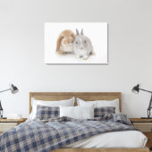 Twee Nederlandse Dwarf- en Holland Lop-bunnies Canvas Afdruk (Insitu (Slaapkamer))